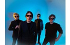Download Foto: Vier Personen in dunkler Kleidung und Sonnenbrillen stehen in einem Studio mit blauem Hintergrund.