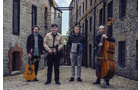 Download Foto: Vier Männer stehen in einer gepflasterten Gasse mit Instrumenten: Gitarre, Geige, Akkordeon und Kontrabass.